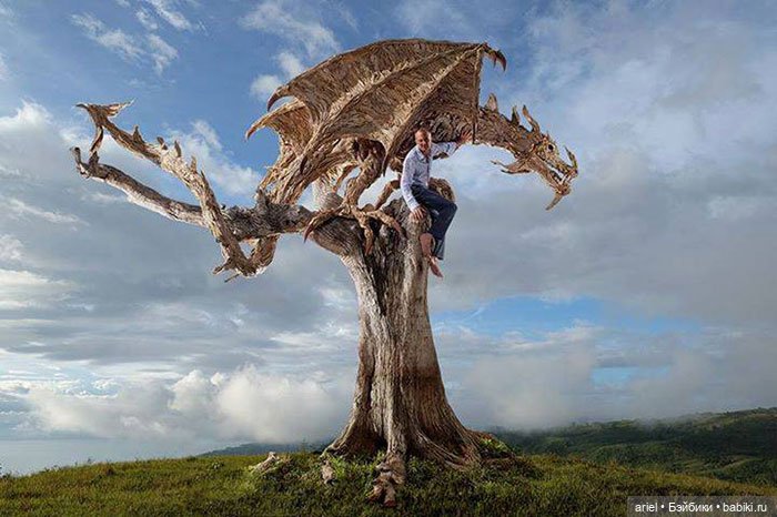 Скульптуры из коряг от Джеймса Дорана-Уэбба (James Doran Webb)