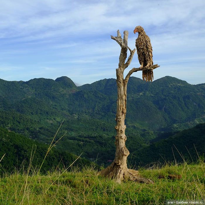 Скульптуры из коряг от Джеймса Дорана-Уэбба (James Doran Webb)