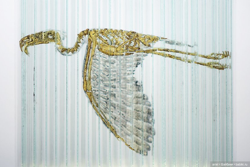 Магическая стеклянная скульптура от Томаса Медикуса (фото 4)