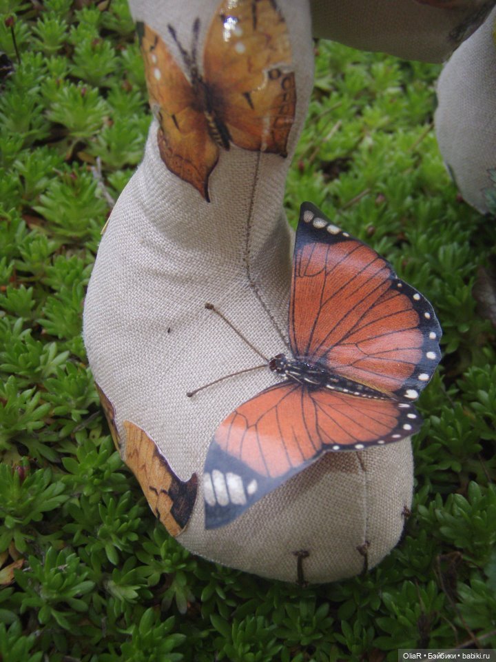 Мои солнечные ВедМеди: БабоЧкарий и КофейЧик (фото 3)