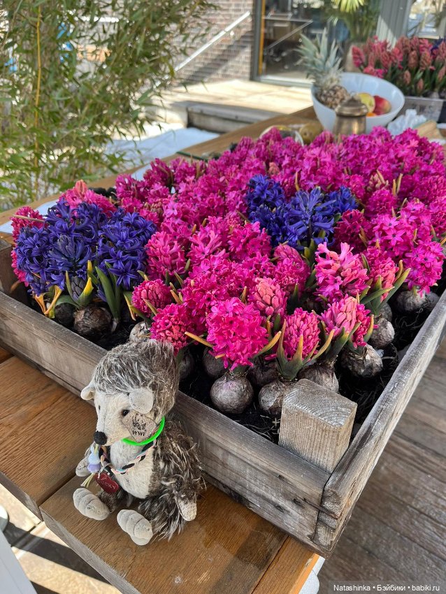 Fashion Dolls 336 — Туризм и путешествия: фотоотчеты из поездок (фото 4)