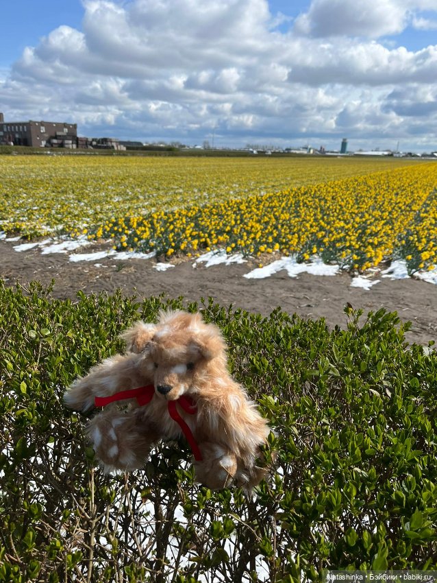 Fashion Dolls 336 — Туризм и путешествия: фотоотчеты из поездок (фото 2)