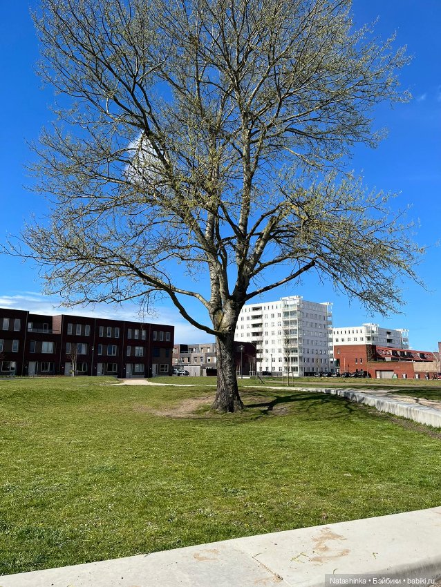 Fashion Dolls 337 — Туризм и путешествия: фотоотчеты из поездок