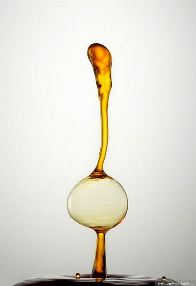 "Жидкие скульптуры" на скоростных фотографиях Хайнца Майера (Heinz Maier) (фото 5)
