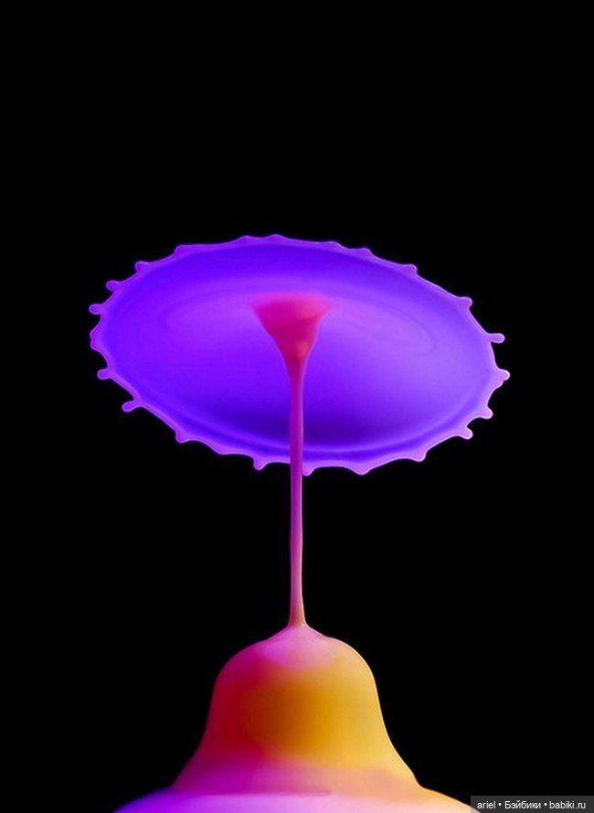 "Жидкие скульптуры" на скоростных фотографиях Хайнца Майера (Heinz Maier) (фото 2)