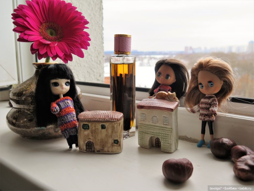 Город на моём окне и его обитатели (фото 3)