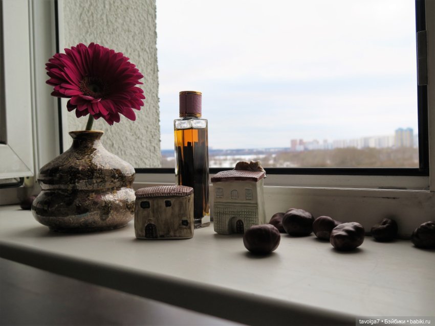 Город на моём окне и его обитатели (фото 2)