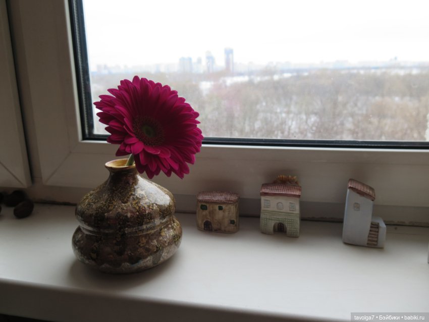 Город на моём окне и его обитатели