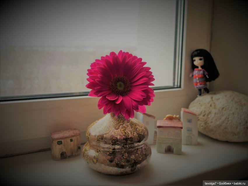 Город на моём окне и его обитатели (фото 7)