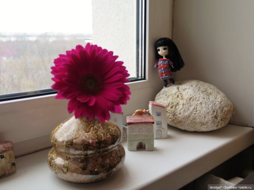 Город на моём окне и его обитатели (фото 6)