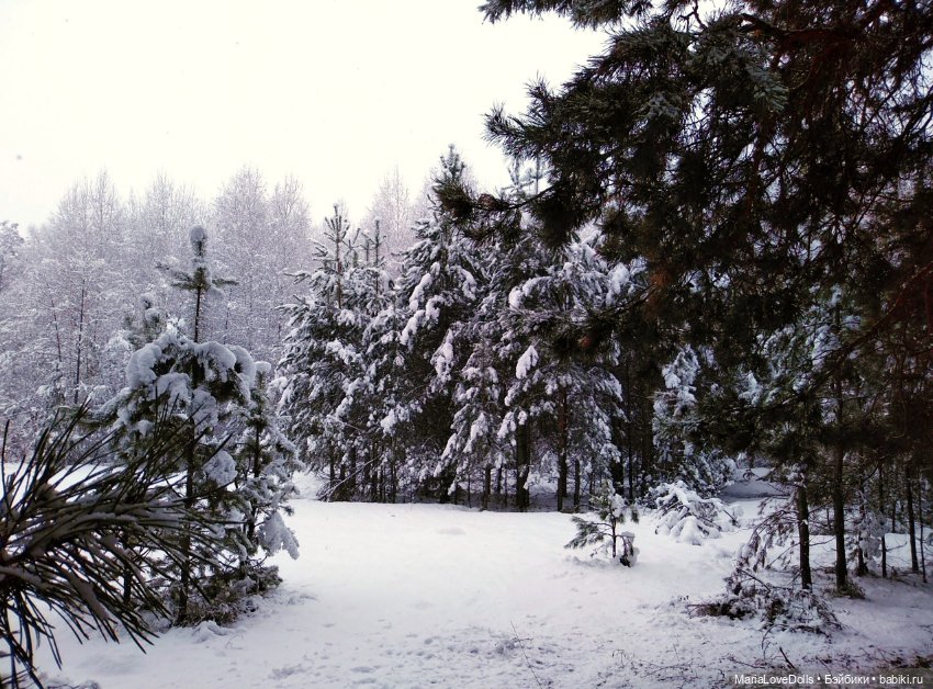 Вчера кораблики, снеговики сегодня