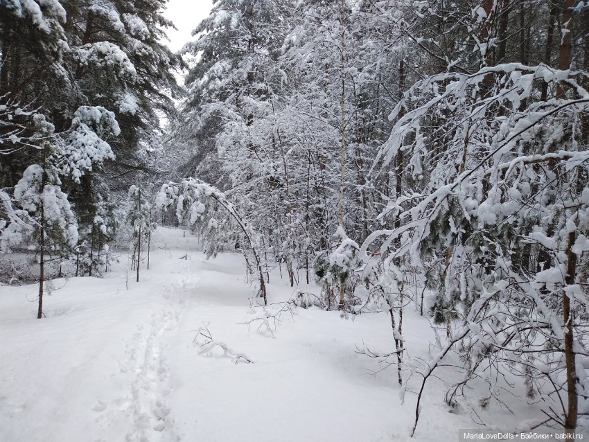 Вчера кораблики, снеговики сегодня