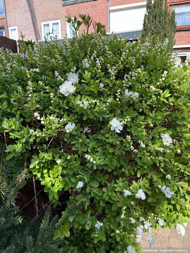 Fashion Dolls 339 — Туризм и путешествия: фотоотчеты из поездок (фото 7)