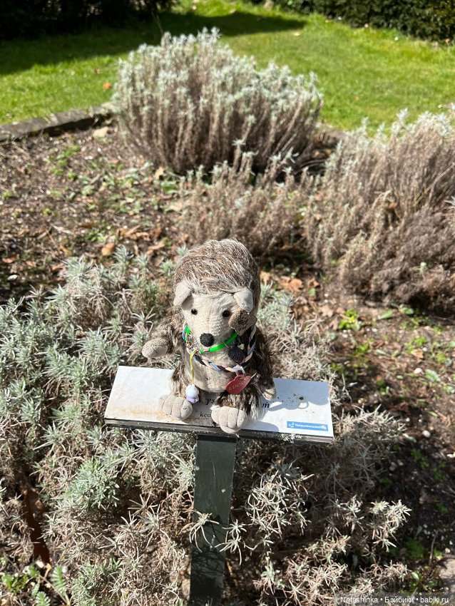 Fashion Dolls 339 — Туризм и путешествия: фотоотчеты из поездок