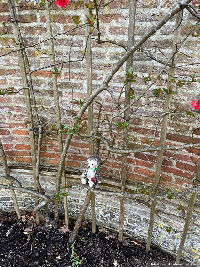 Fashion Dolls 339 — Туризм и путешествия: фотоотчеты из поездок (фото 3)