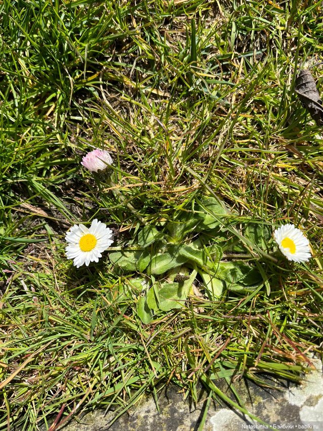 Fashion Dolls 339 — Туризм и путешествия: фотоотчеты из поездок