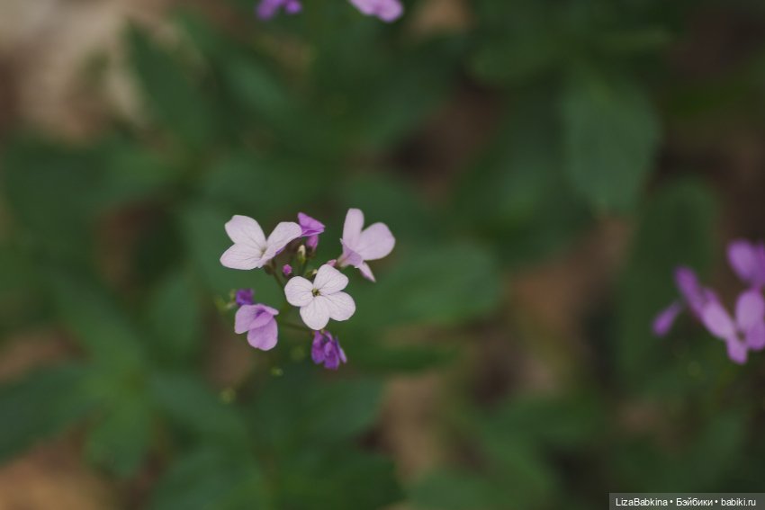 Весна идет! Весне дорогу — ООАК Paola Reina (Паола Рейна) и испанских кукол: перерисовка (фото 6)