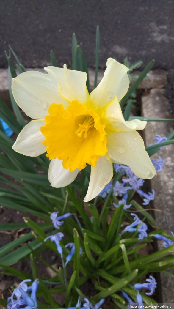 Линда тоже принарядилась в ожидании тепла