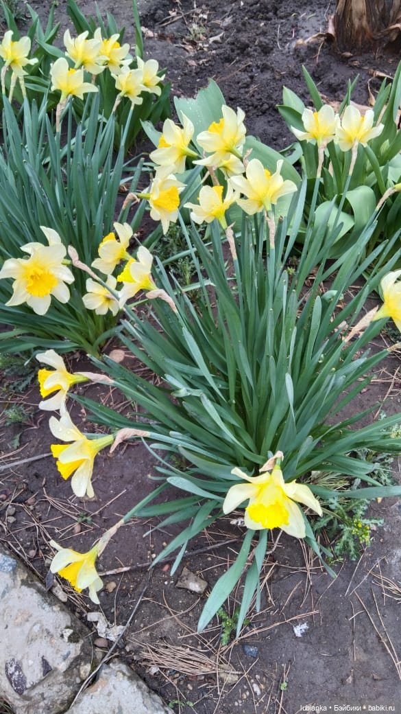 Линда тоже принарядилась в ожидании тепла