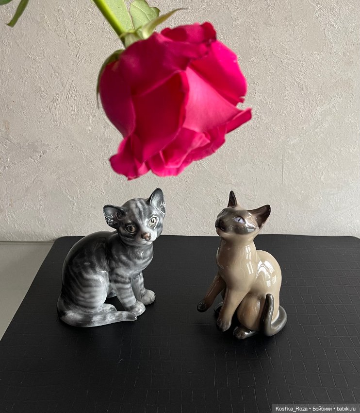 Маша и её кошачий прайд (часть 4) (фото 4)