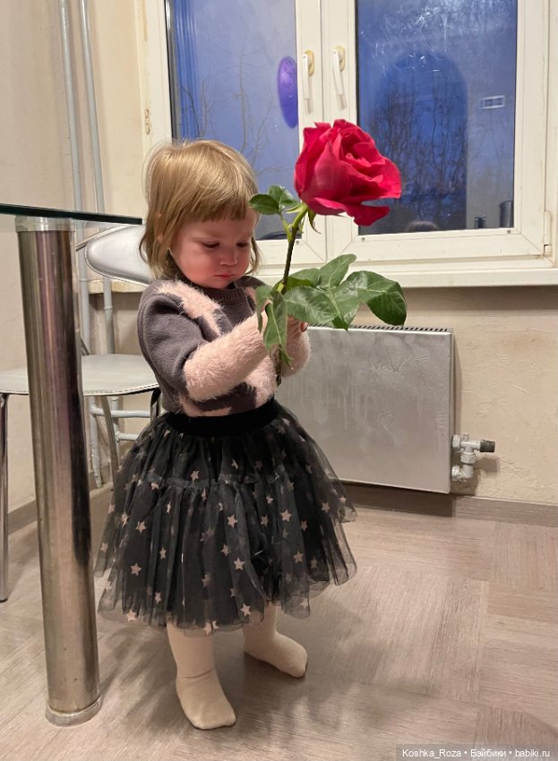 Маша и её кошачий прайд (часть 4)