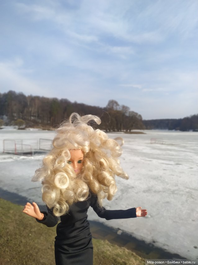 Лив Кристин в Царицыно — Аналоги Барби и куклы 1/6: клоны 90 (фото 3)