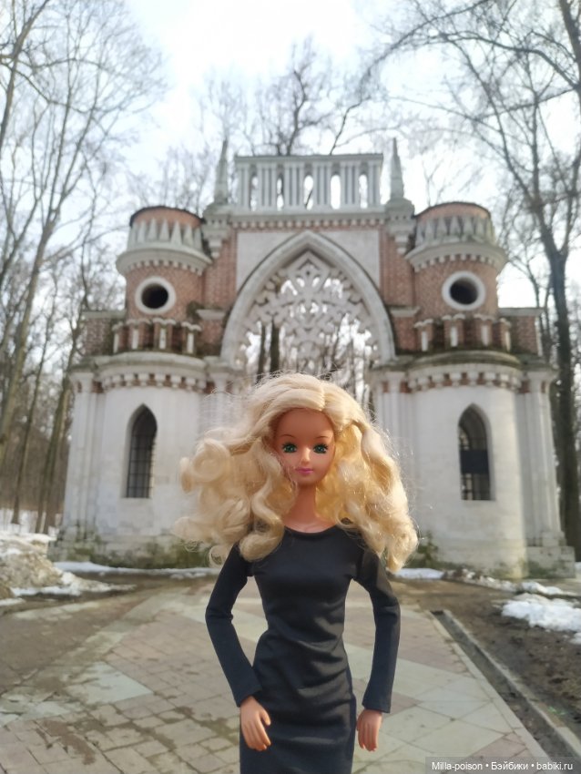 Лив Кристин в Царицыно — Аналоги Барби и куклы 1/6: клоны 90 (фото 8)