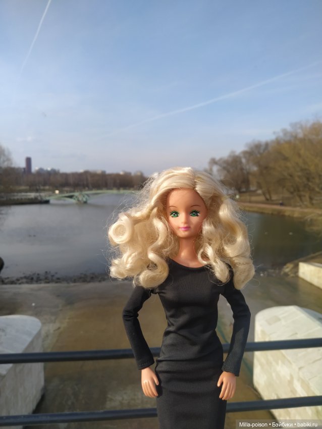 Лив Кристин в Царицыно — Аналоги Барби и куклы 1/6: клоны 90 (фото 2)