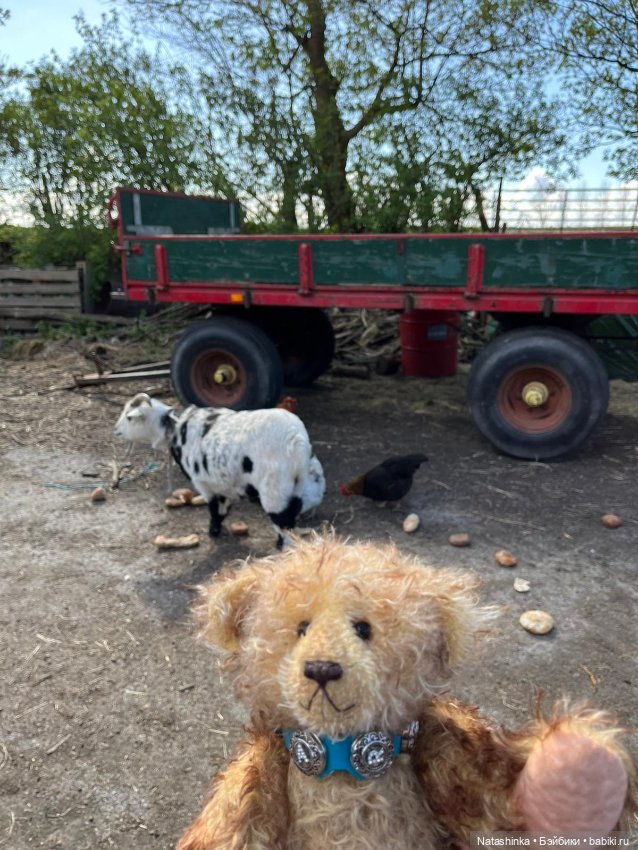 Fashion Dolls 341 — Туризм и путешествия: фотоотчеты из поездок (фото 5)