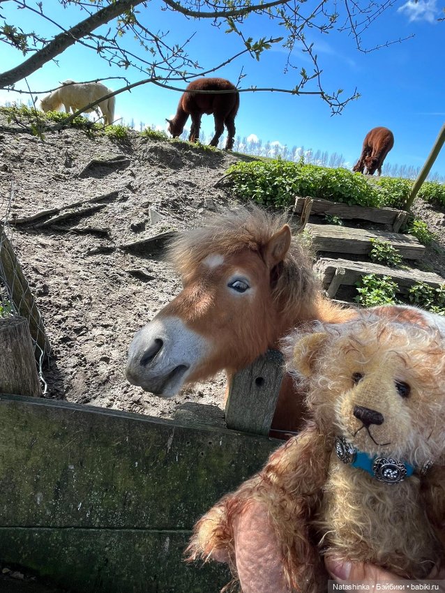 Fashion Dolls 341 — Туризм и путешествия: фотоотчеты из поездок (фото 4)