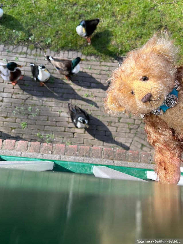 Fashion Dolls 341 — Туризм и путешествия: фотоотчеты из поездок (фото 10)