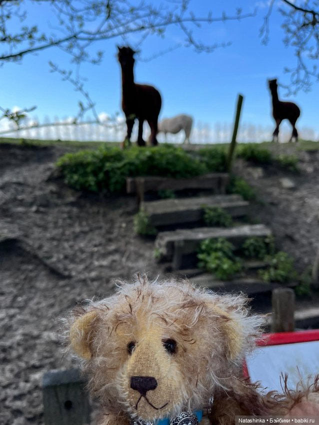 Fashion Dolls 341 — Туризм и путешествия: фотоотчеты из поездок (фото 2)