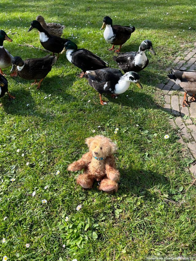 Fashion Dolls 341 — Туризм и путешествия: фотоотчеты из поездок