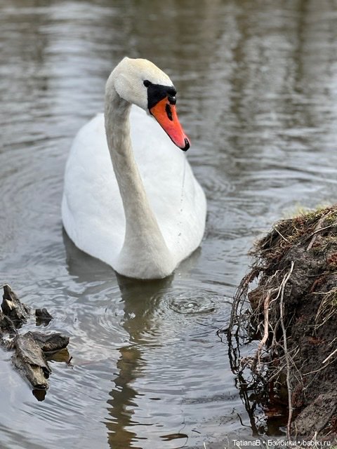 Несколько фото знакомой малышки из нового дома (фото 5)