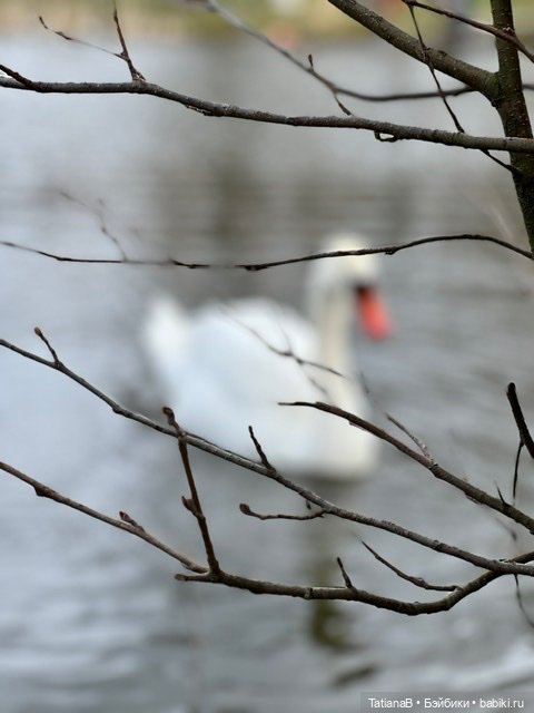 Несколько фото знакомой малышки из нового дома (фото 6)