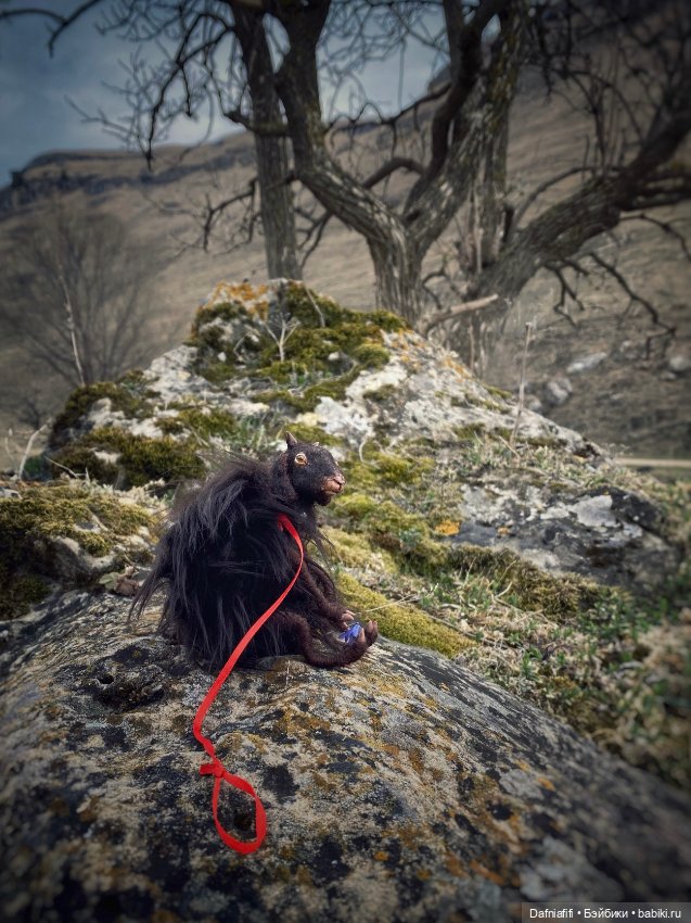А не пойти ли нам… в горы