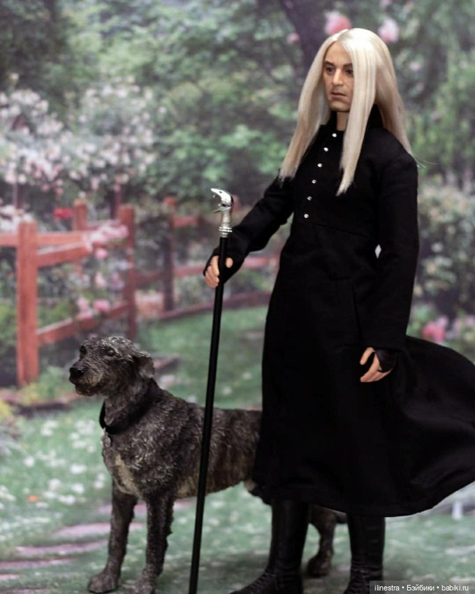 Драко приехал домой на каникулы (фото 2)