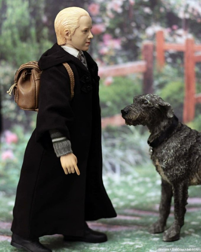 Драко приехал домой на каникулы (фото 3)