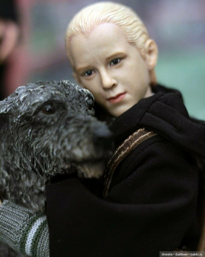 Драко приехал домой на каникулы (фото 9)