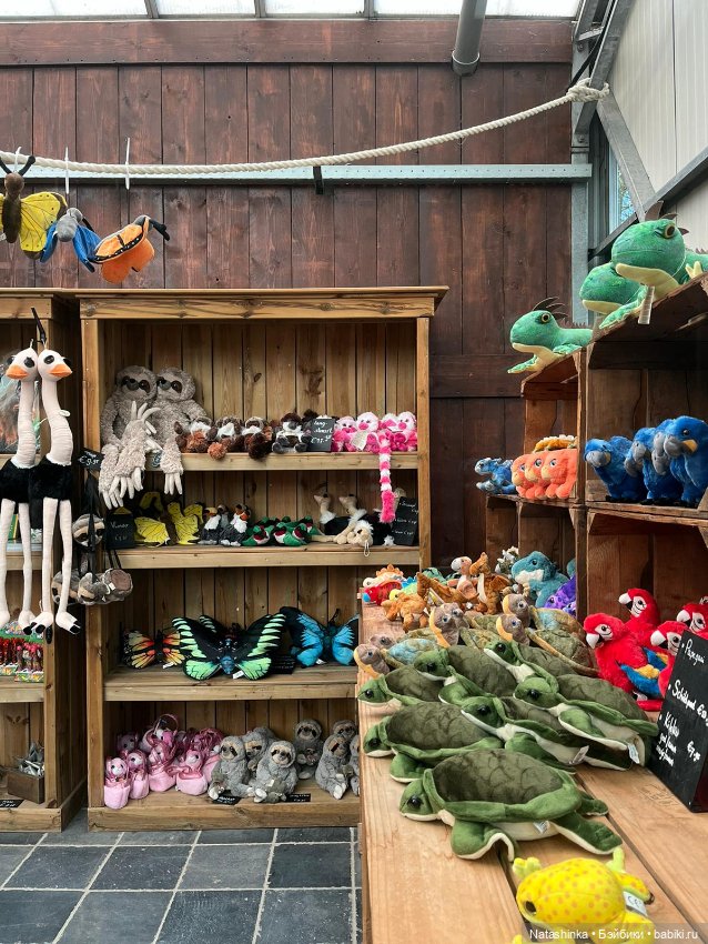 Fashion Dolls 342 — Туризм и путешествия: фотоотчеты из поездок (фото 9)