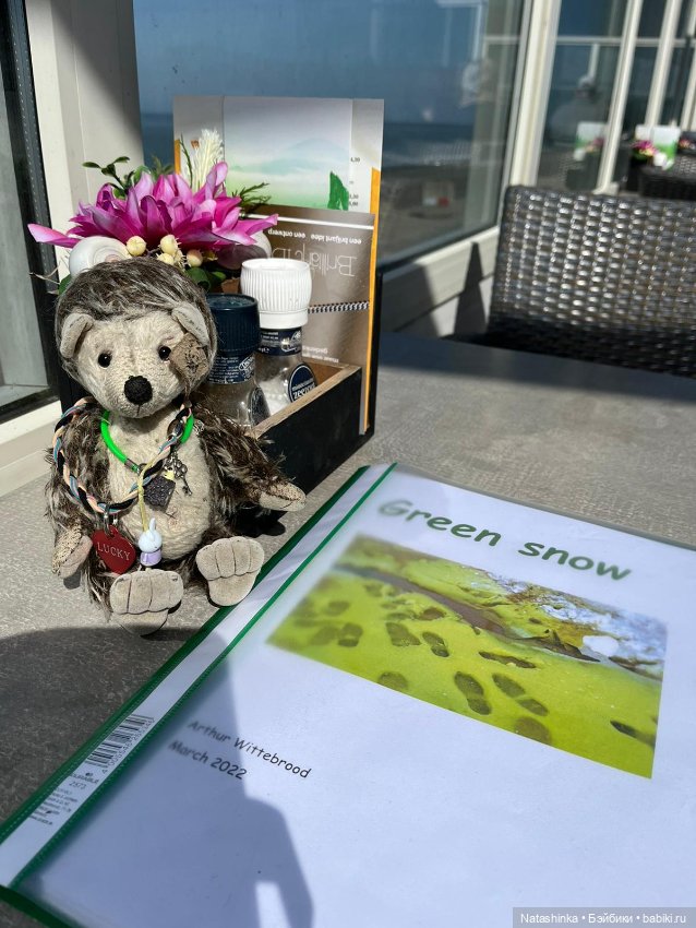 Fashion Dolls 343 — Туризм и путешествия: фотоотчеты из поездок (фото 6)