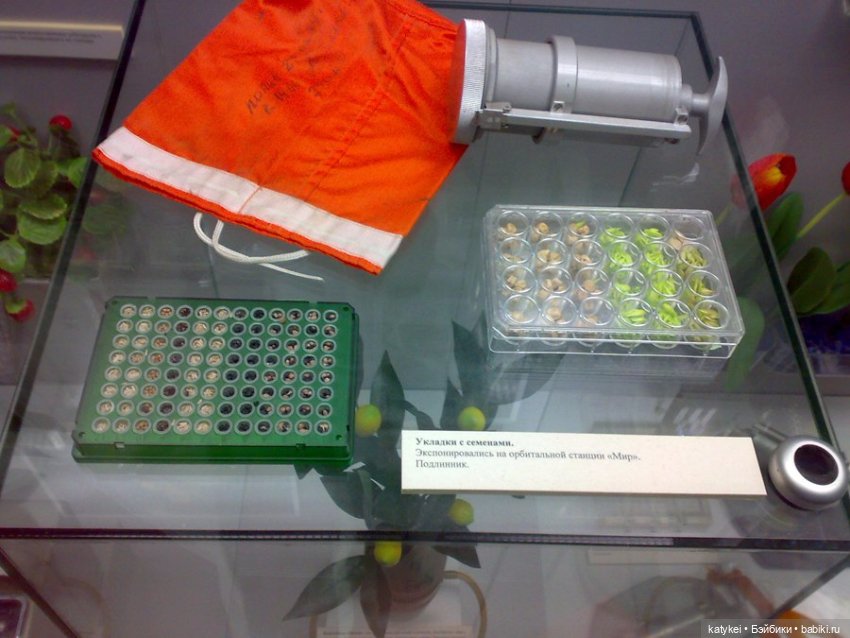 Котоблог. Скафандр — Коллекционные игрушки и фигурки: Lego (фото 9)