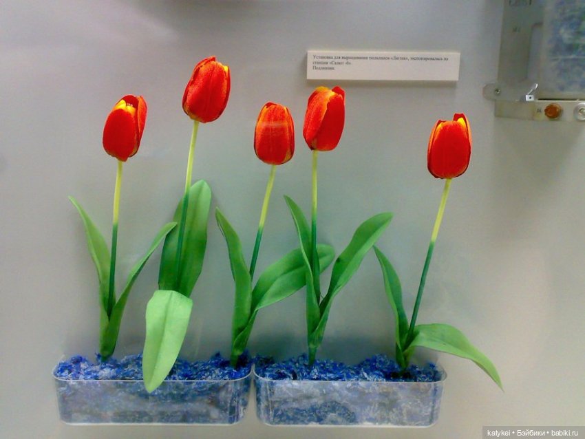 Котоблог. Скафандр — Коллекционные игрушки и фигурки: Lego (фото 10)