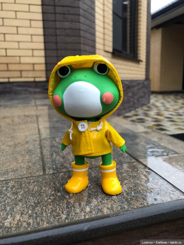 Дождливый день и новые постояльцы (фото 8)