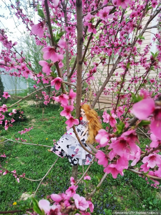 Весенние феи... или дикий персик