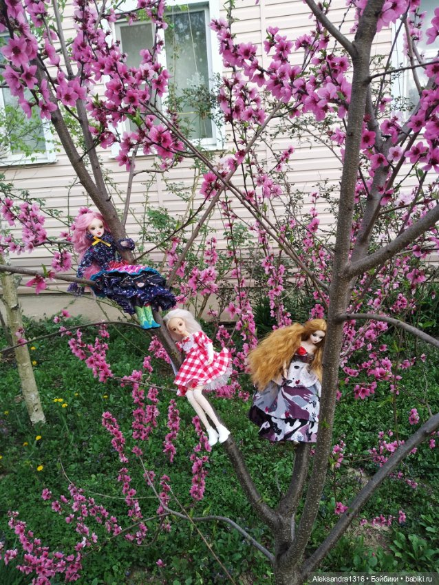 Весенние феи... или дикий персик (фото 8)