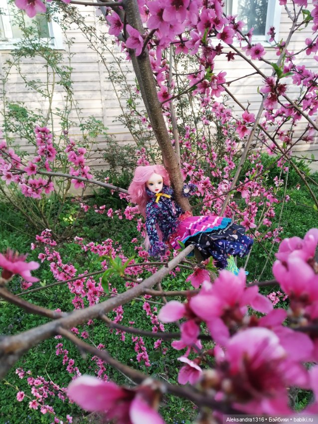 Весенние феи... или дикий персик