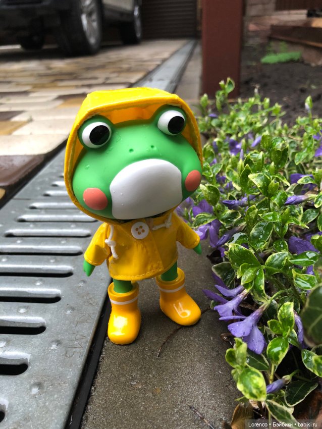 Дождливый день и новые постояльцы (фото 5)