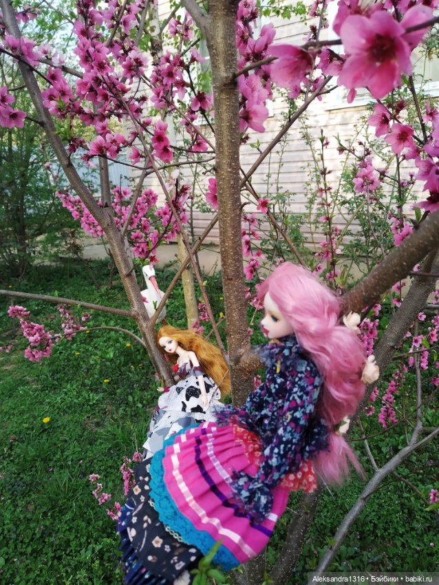 Весенние феи... или дикий персик