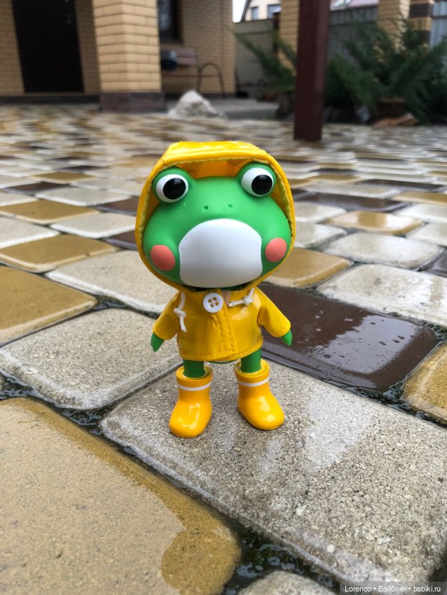 Дождливый день и новые постояльцы (фото 6)